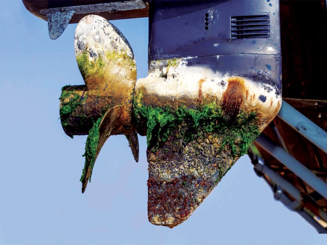 Ultrasonic Antifouling System